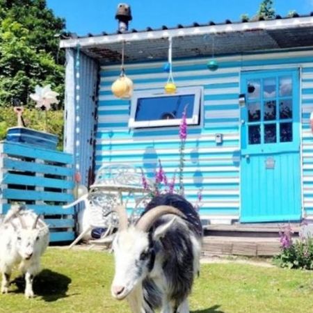 Treguth Glamping Unique Experience - Themed Huts Saint Day Exterior foto