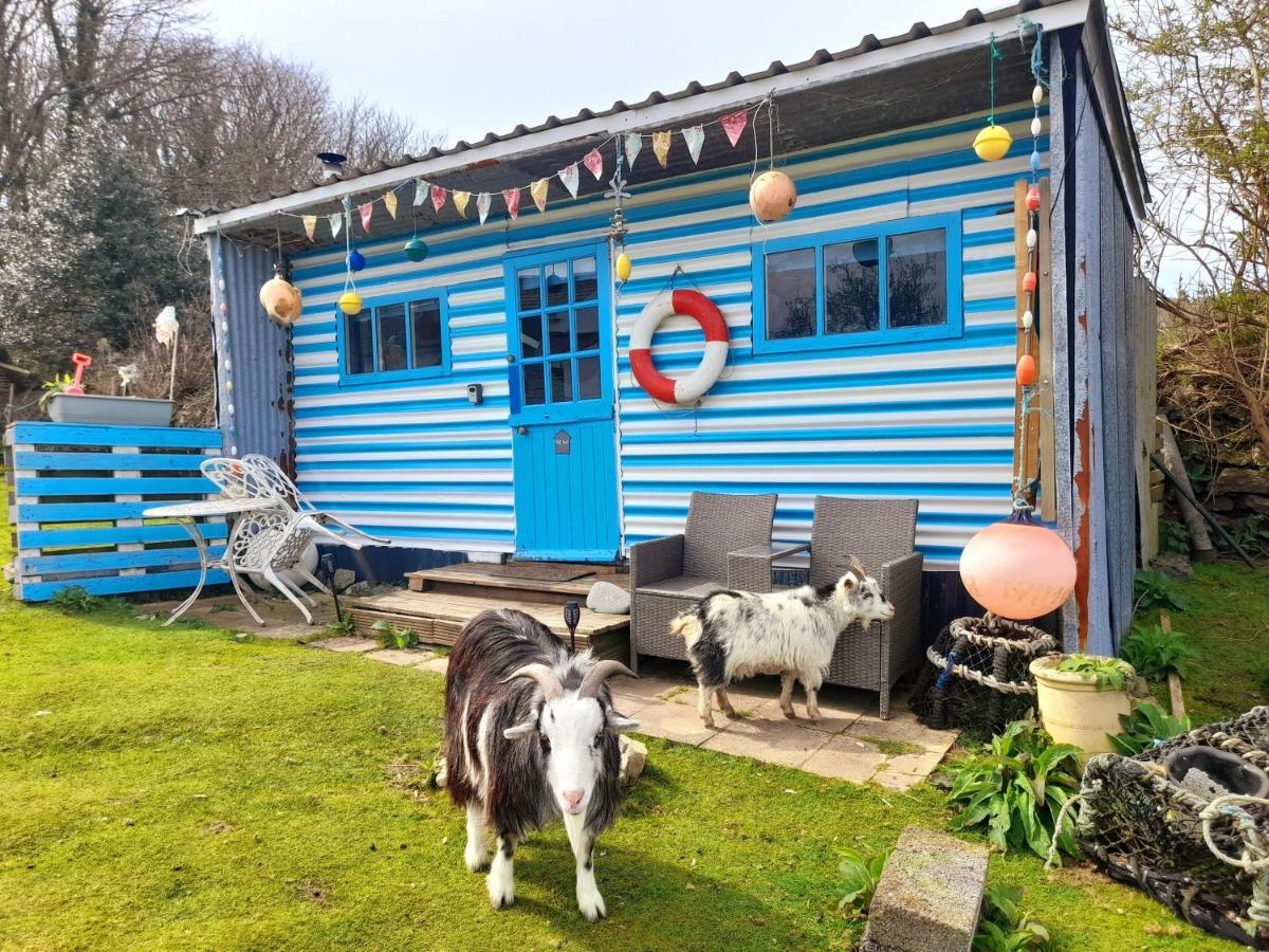 Treguth Glamping Unique Experience - Themed Huts Saint Day Exterior foto
