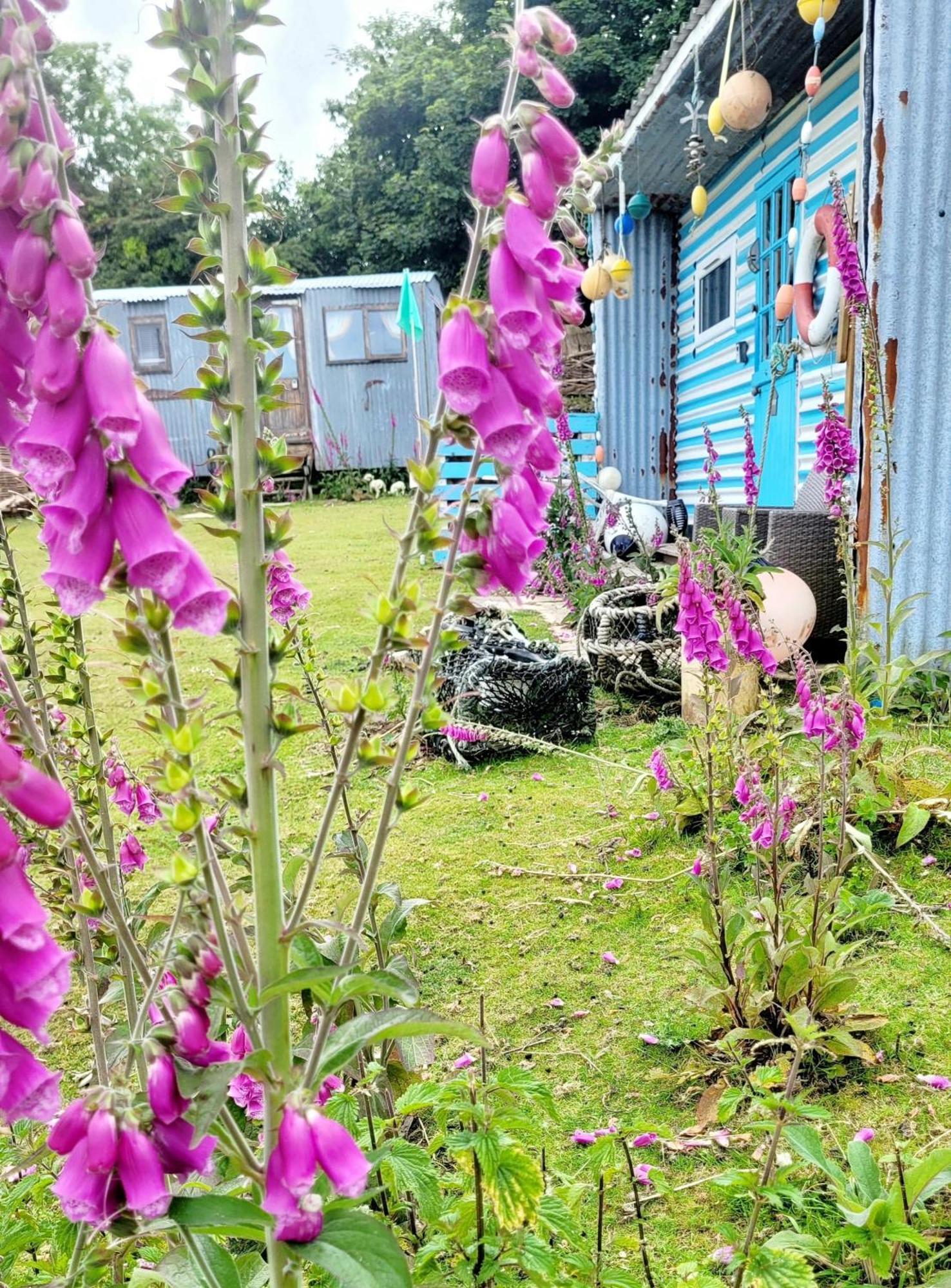 Treguth Glamping Unique Experience - Themed Huts Saint Day Exterior foto