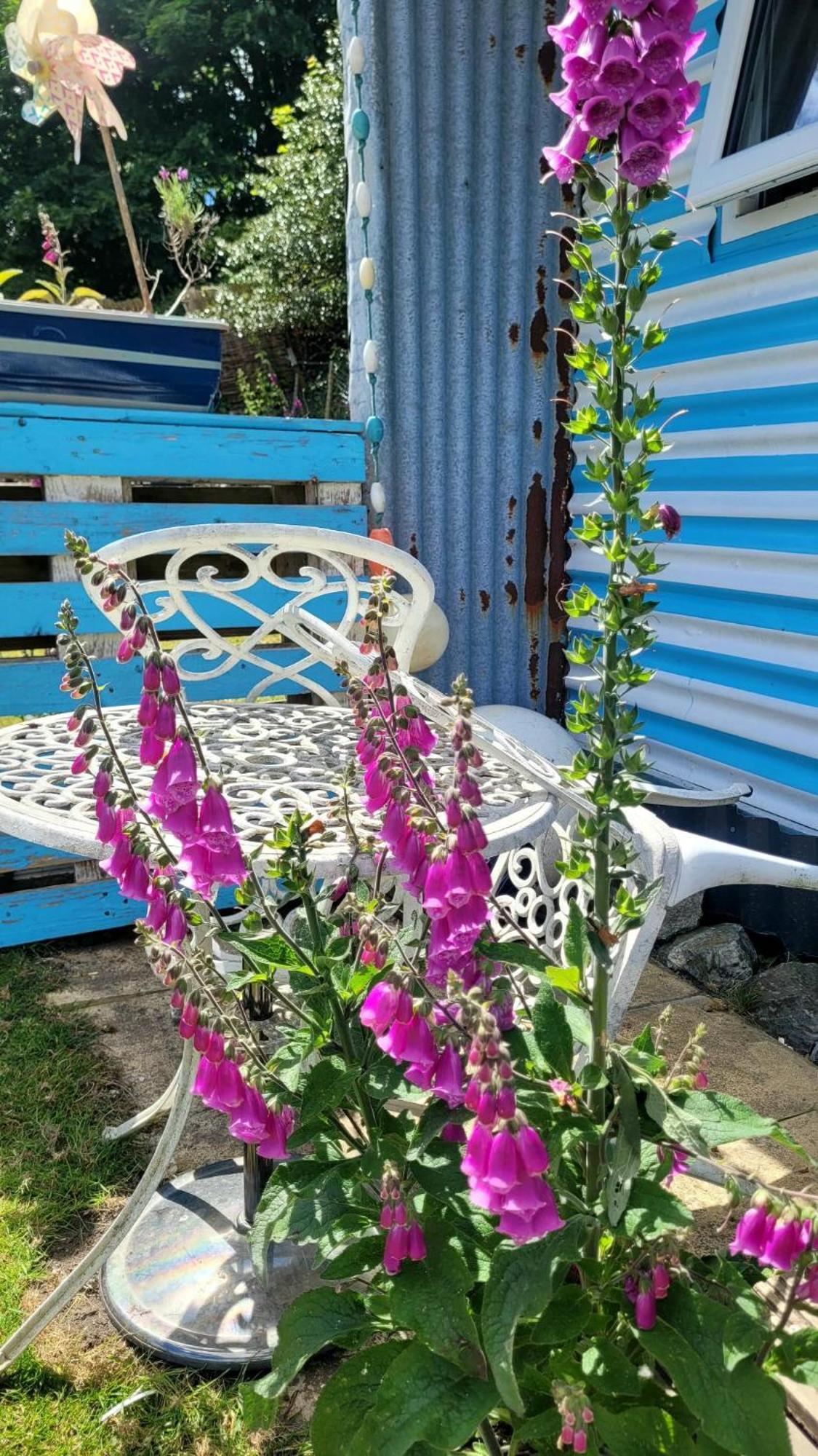 Treguth Glamping Unique Experience - Themed Huts Saint Day Exterior foto