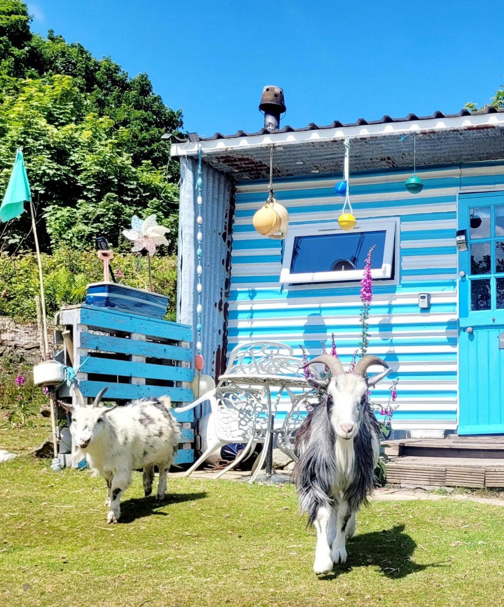 Treguth Glamping Unique Experience - Themed Huts Saint Day Exterior foto