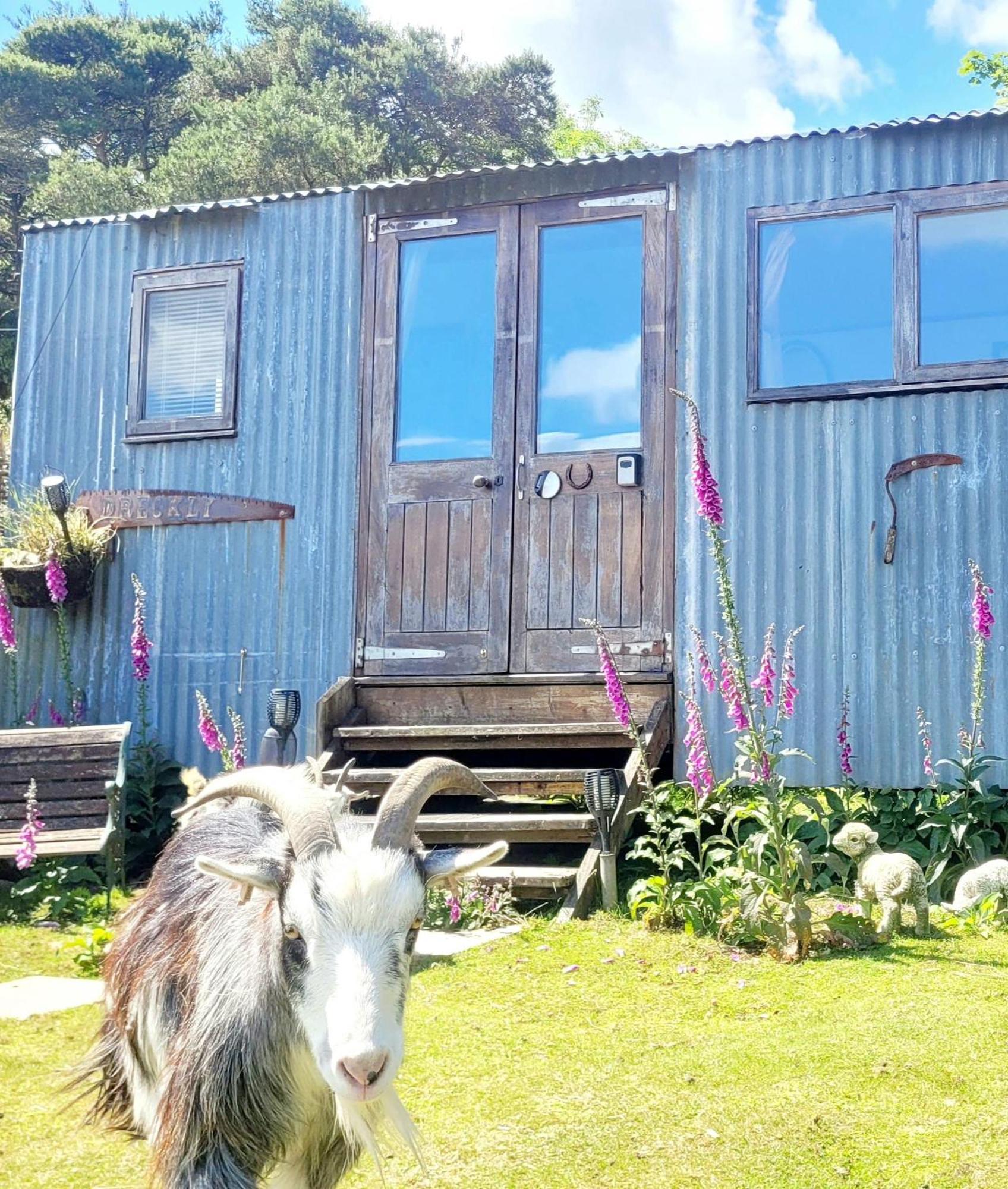 Treguth Glamping Unique Experience - Themed Huts Saint Day Exterior foto