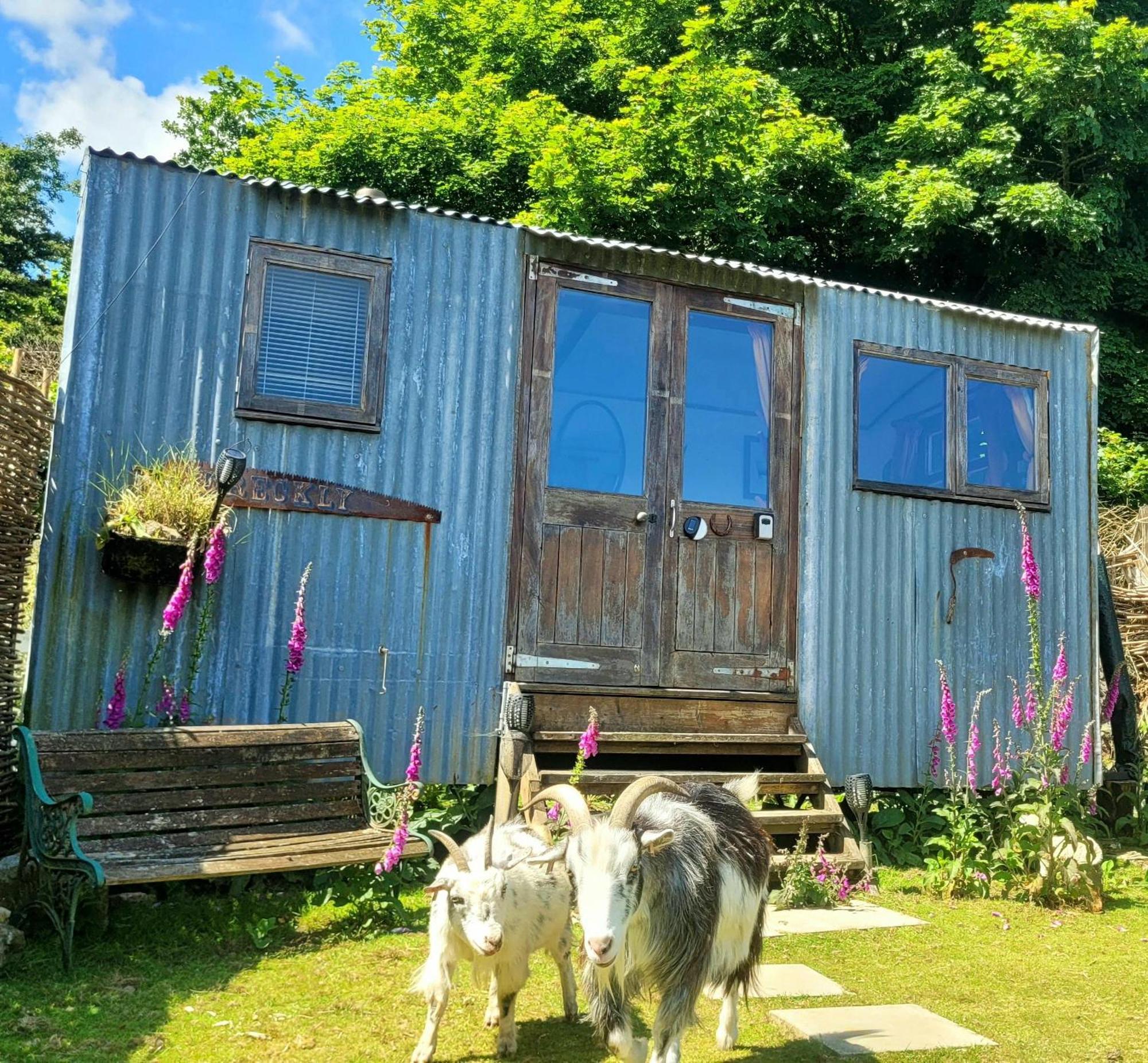 Treguth Glamping Unique Experience - Themed Huts Saint Day Exterior foto