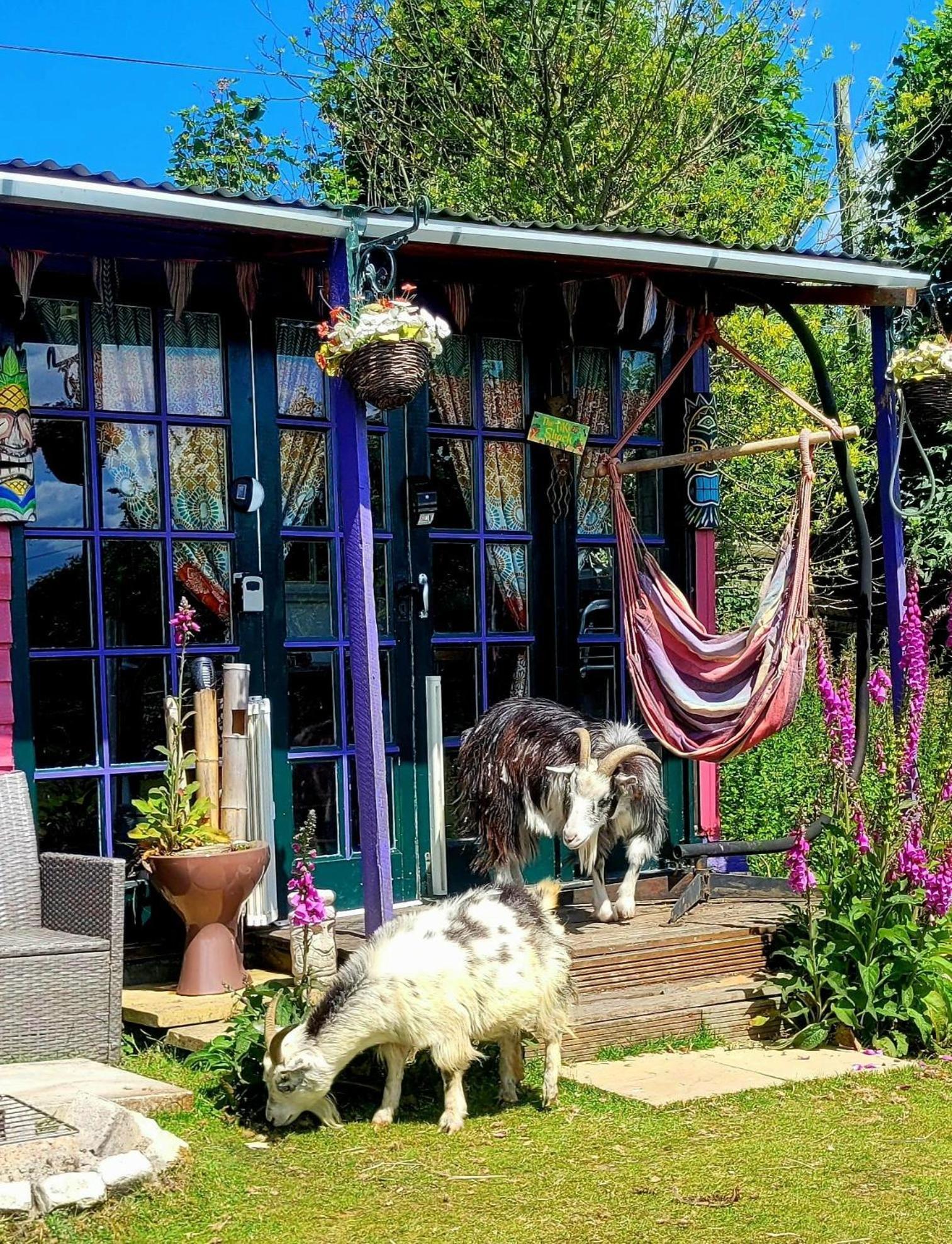 Treguth Glamping Unique Experience - Themed Huts Saint Day Exterior foto